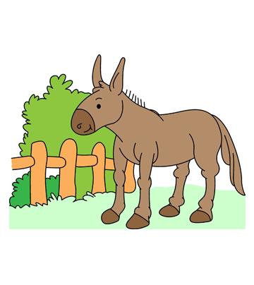Baby Donkey Coloring Pages
