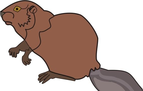 Beaver Coloring Pages