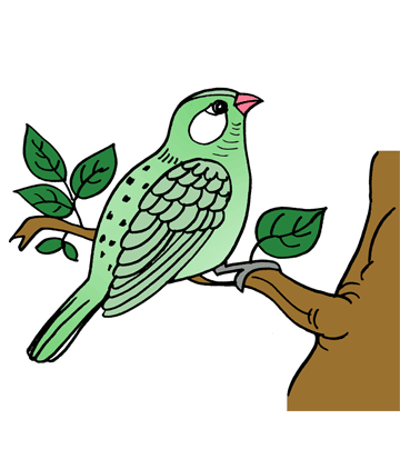 Sparrow 1 Coloring Pages