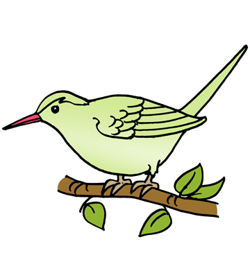 Tailor Bird Coloring Pages
