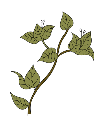 Bougainvillea Coloring Pages