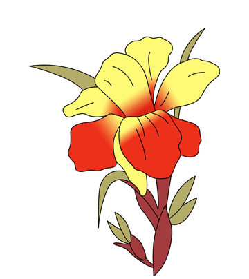 Canna Coloring Pages