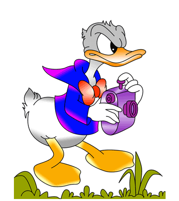 Donald Coloring Pages