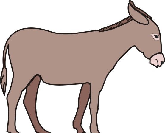 Donkey Coloring Pages
