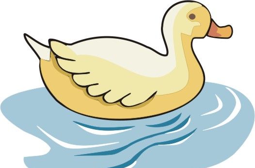 Swimming Duck Coloring Pages
