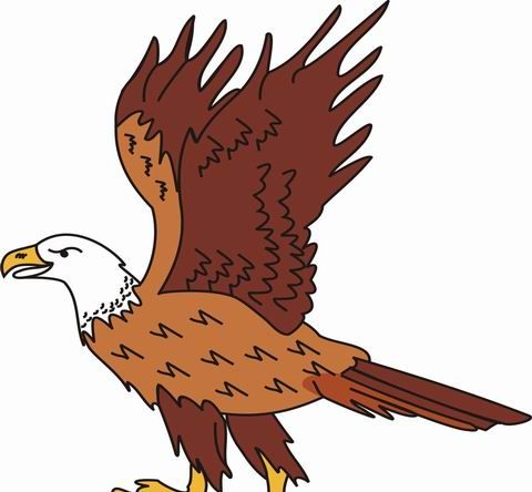 Eagle Coloring Pages