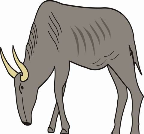 Gnu Coloring Pages