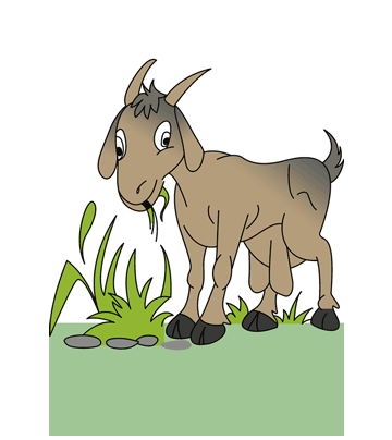 Grazing Goat Coloring Pages