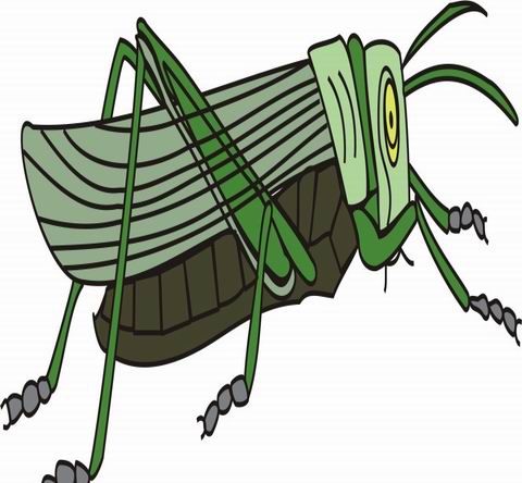 Grasshoper Coloring Pages