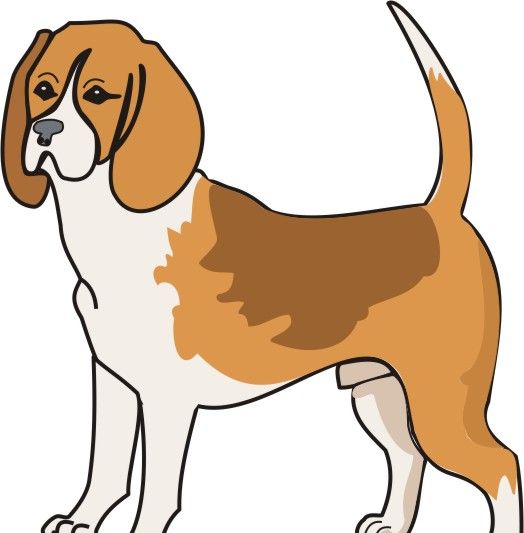 Hound Coloring Pages