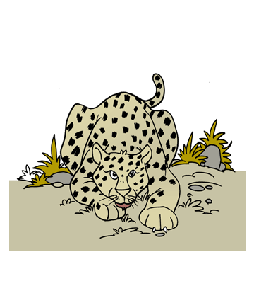 Panther Leopard Coloring Pages
