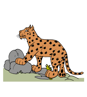 German Leopard Coloring Pages