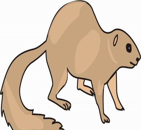 Mole Coloring Pages
