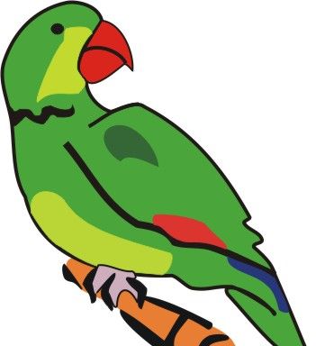 Green Parrot Coloring Pages