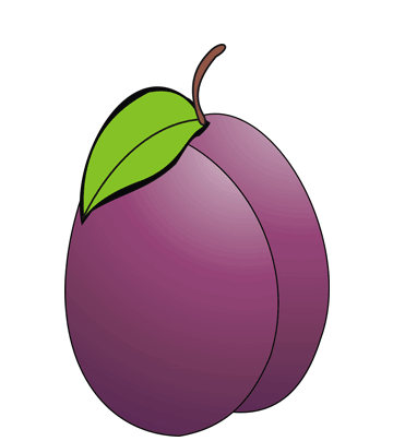 Plum Coloring Pages