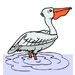 Pelican 1 Coloring Pages