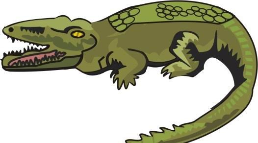 Reptile Alligator Coloring Pages