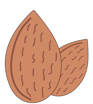 Almonds Coloring Pages