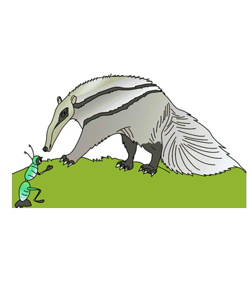 Anteater Coloring Pages