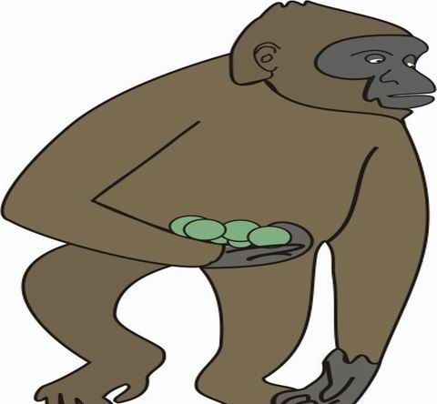 Ape Coloring Pages