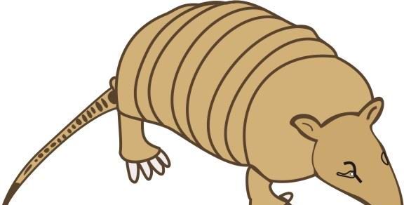 Armadillo Coloring Pages