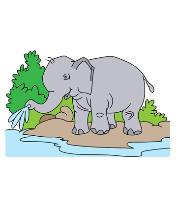 Baby Elephant Coloring Pages