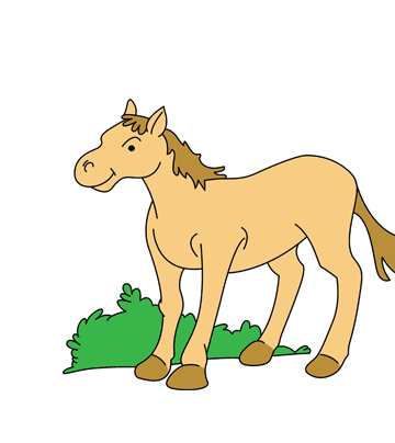 Baby Horse Coloring Pages