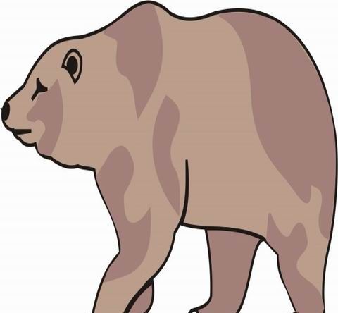 Bear Coloring Pages