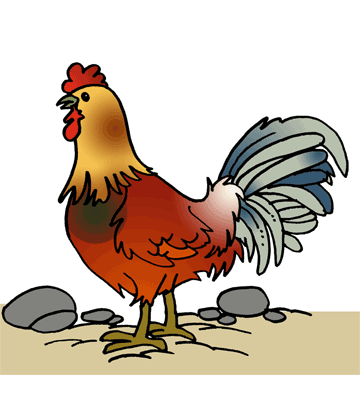 Chicken 1 Coloring Pages