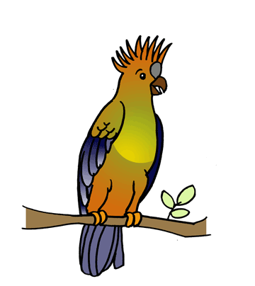 Cockatoo 1 Coloring Pages