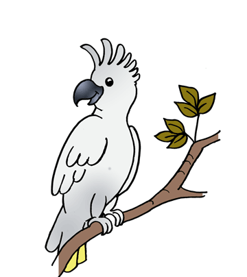 Cockatoo 2 Coloring Pages