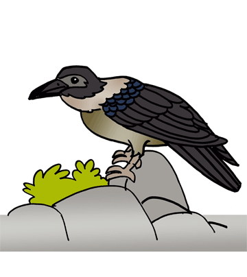 Crow 1 Coloring Pages