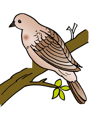 Dove 1 Coloring Pages