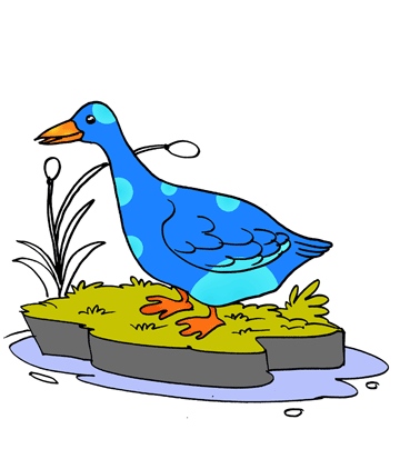 Duck 1 Coloring Pages