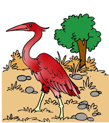 Heron 2 Coloring Pages