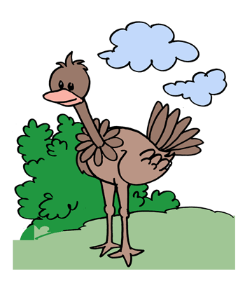Ostrich 2 Coloring Pages