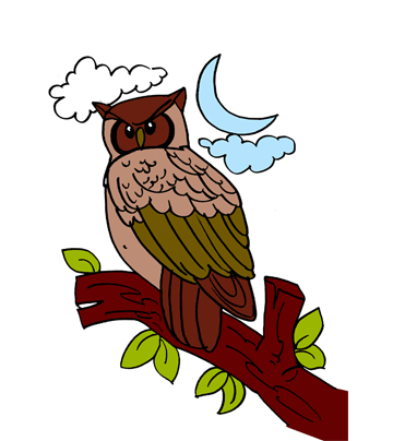 Owl 2 Coloring Pages