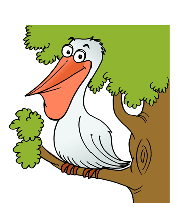 Pelican Coloring Pages