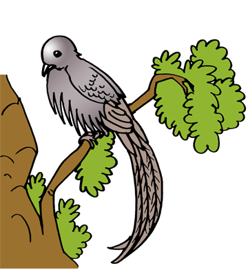 Plover 2 Coloring Pages