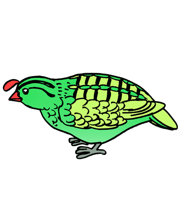 Quail 1 Coloring Pages