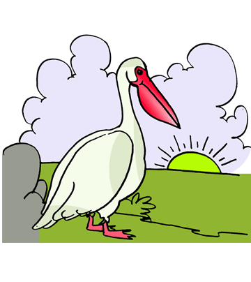 Spoonbill 2 Coloring Pages