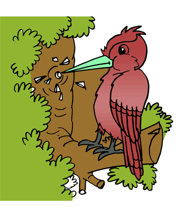 Woodpecker 2 Coloring Pages