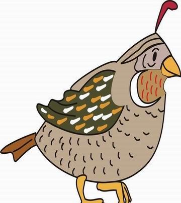 Birds Coloring Pages