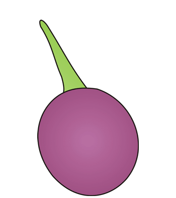 Brinjal Coloring Pages