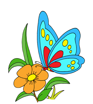 Blue Butterfly Coloring Pages