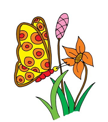 Common Butterfly Coloring Pages