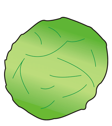 Cabbage Coloring Pages