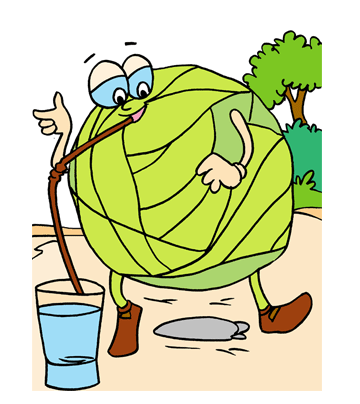 Cabbage2 Coloring Pages