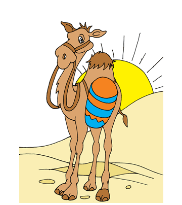 Camel Coloring Pages