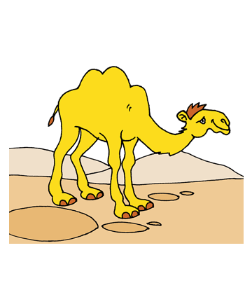 Desert Camels Coloring Pages